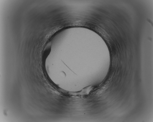 X0000097870673200804041551
