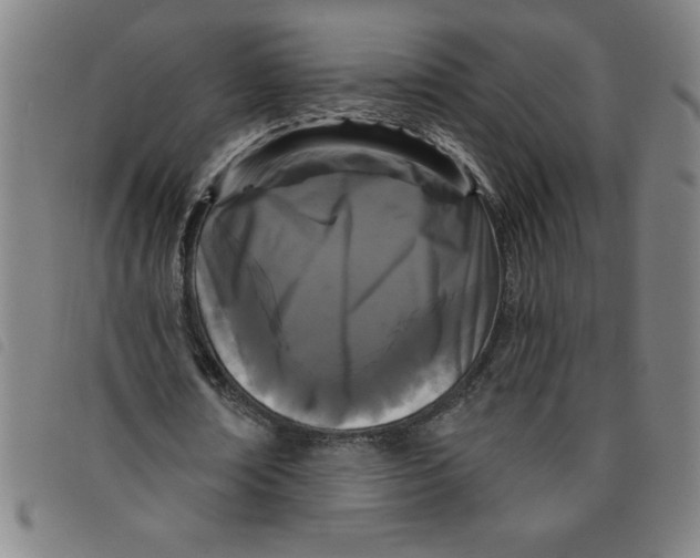 X0000097870674200804041551