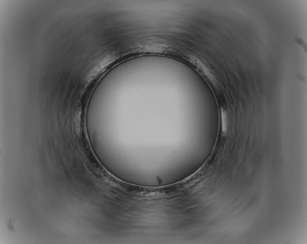 X0000097870675200804041551