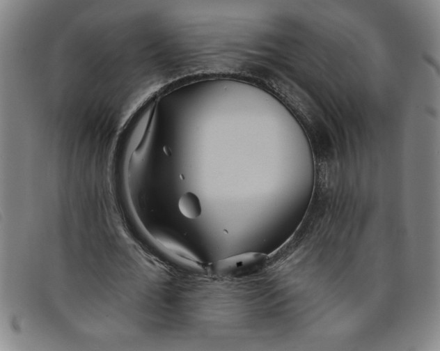 X0000097870676200804041551