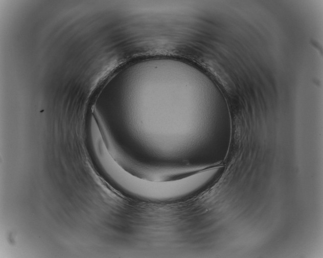 X0000097870677200804041551