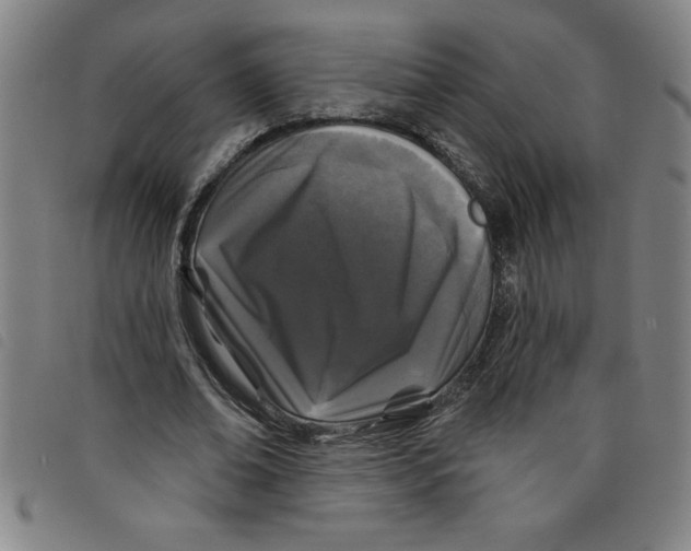 X0000097870678200804041551