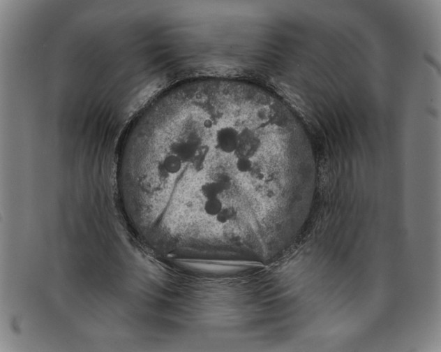 X0000097870679200804041551