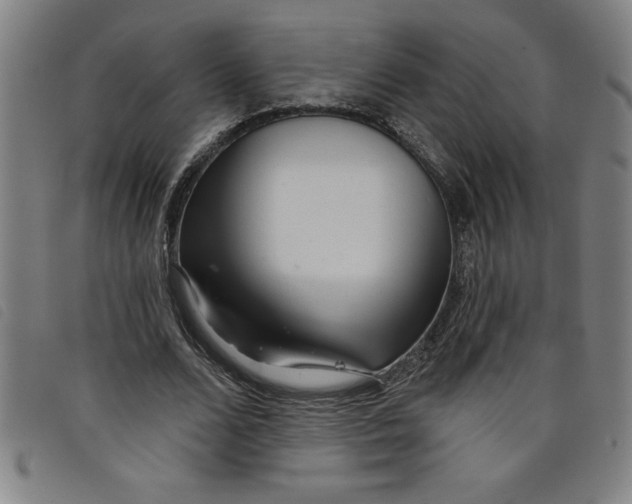 X0000097870680200804041551