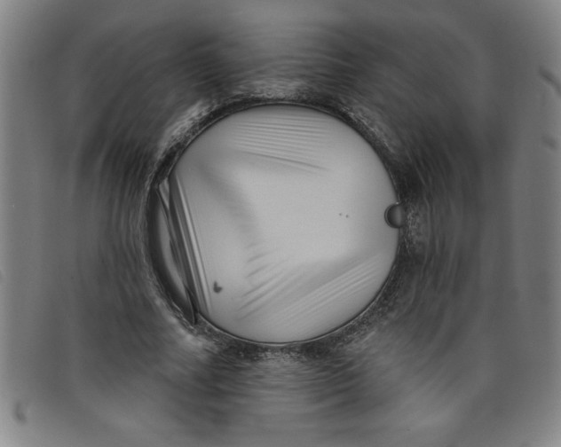X0000097870682200804041551