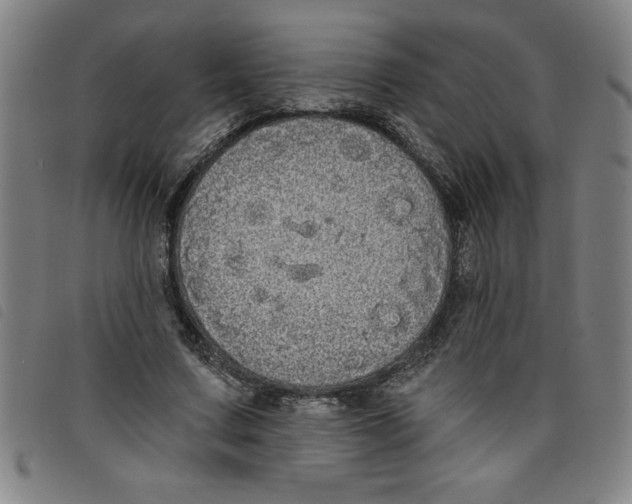 X0000097870683200804041551