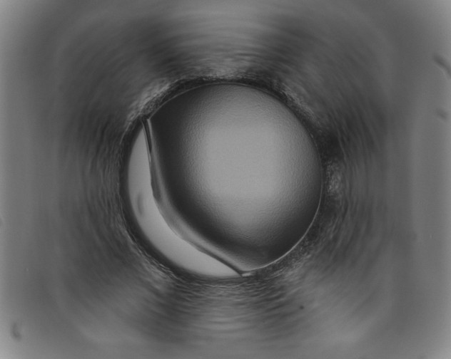 X0000097870685200804041551
