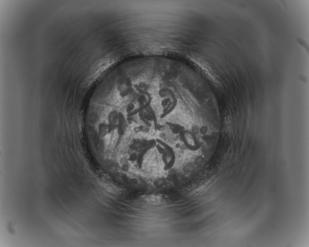 X0000097870687200804041551