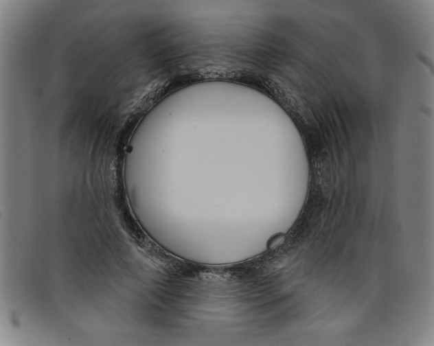 X0000097870690200804041551