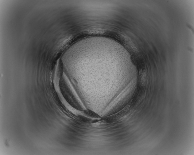 X0000097870692200804041551