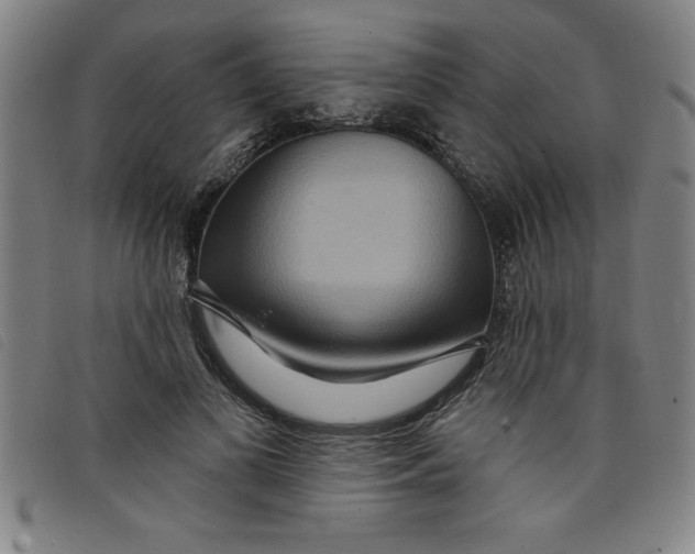 X0000097870693200804041551