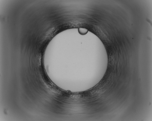 X0000097870694200804041551