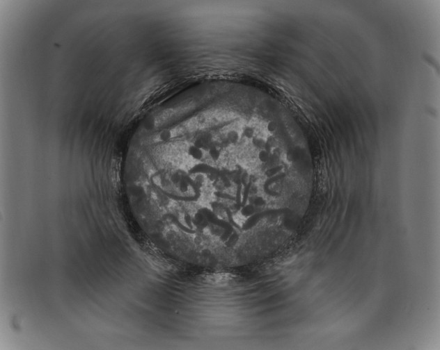 X0000097870695200804041551