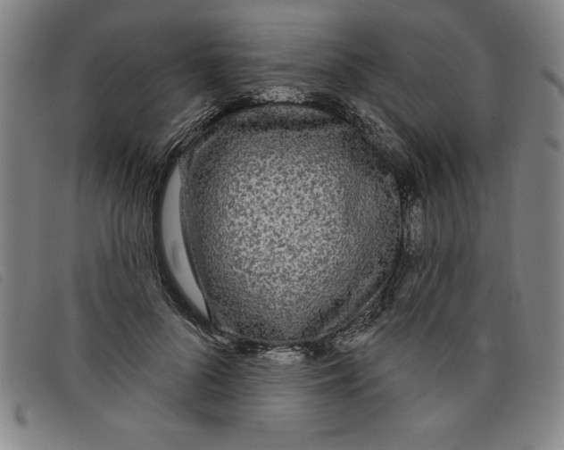 X0000097870696200804041551