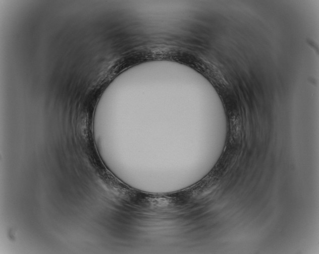X0000097870698200804041551