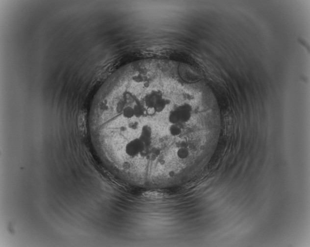 X0000097870699200804041551