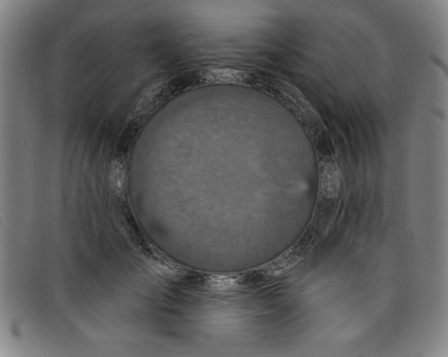 X0000097870701200804041551