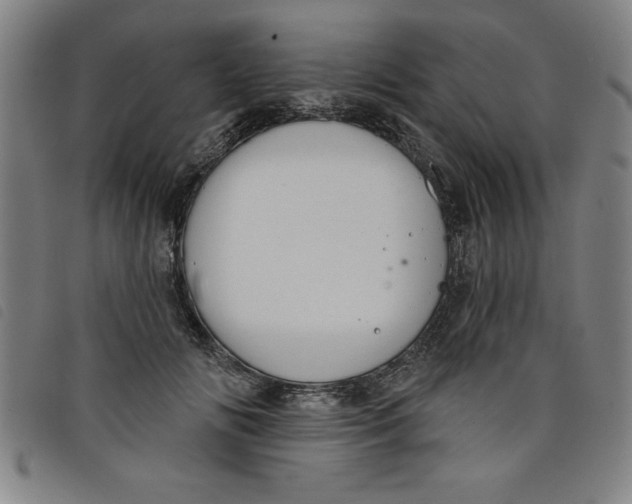 X0000097870702200804041551