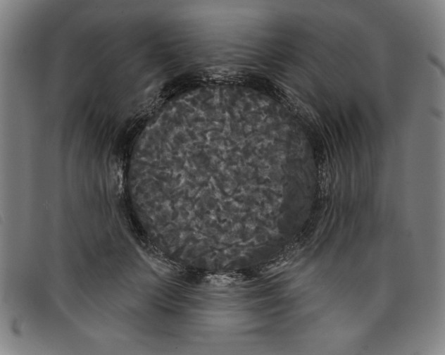 X0000097870703200804041551