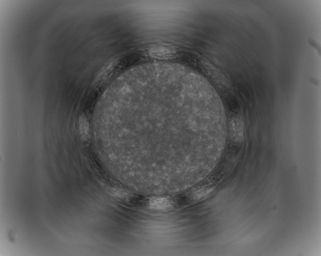 X0000097870705200804041551
