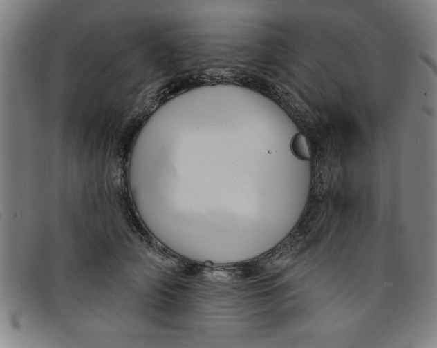 X0000097870706200804041551