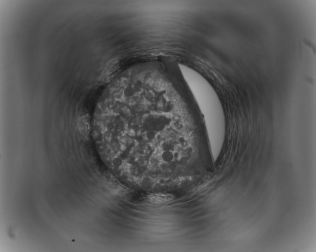 X0000097870707200804041551