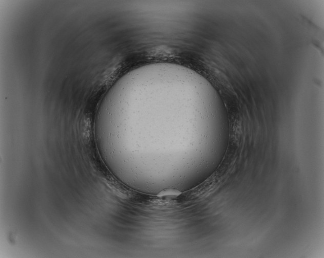 X0000097870708200804041551