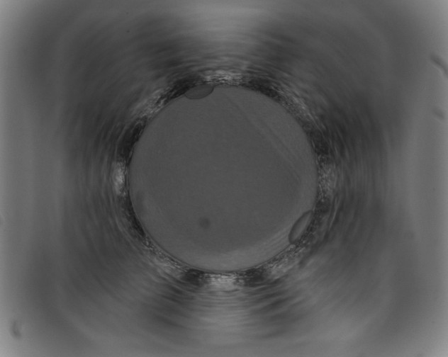 X0000097870709200804041551