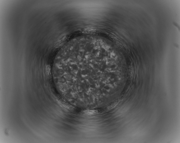 X0000097870711200804041551