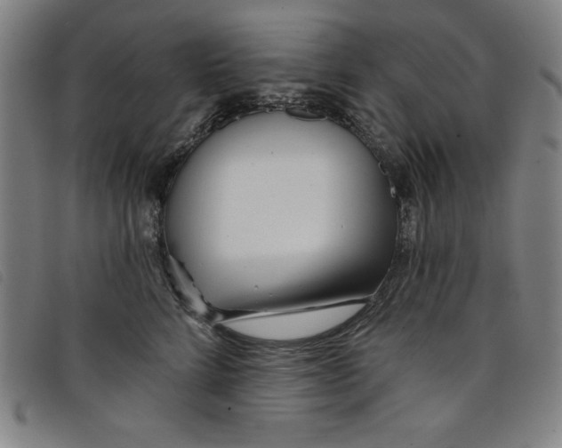X0000097870712200804041551