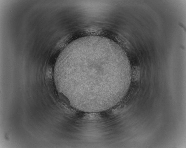 X0000097870713200804041551