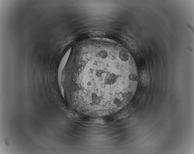 X0000097870715200804041551