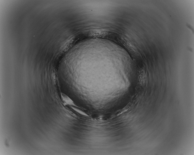X0000097870716200804041551