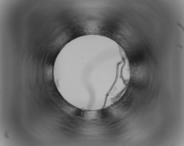 X0000097870717200804041551