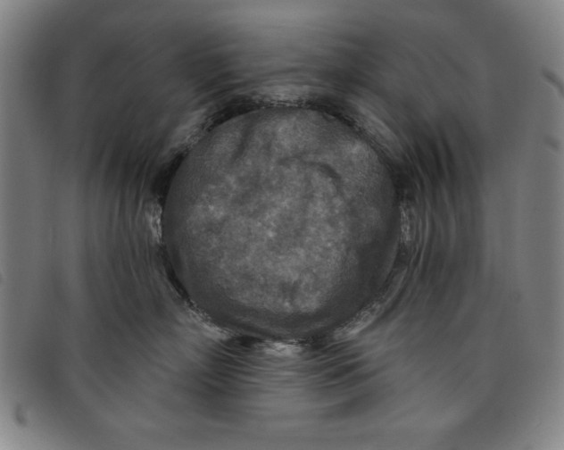 X0000097870718200804041551