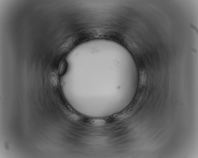 X0000097870719200804041551