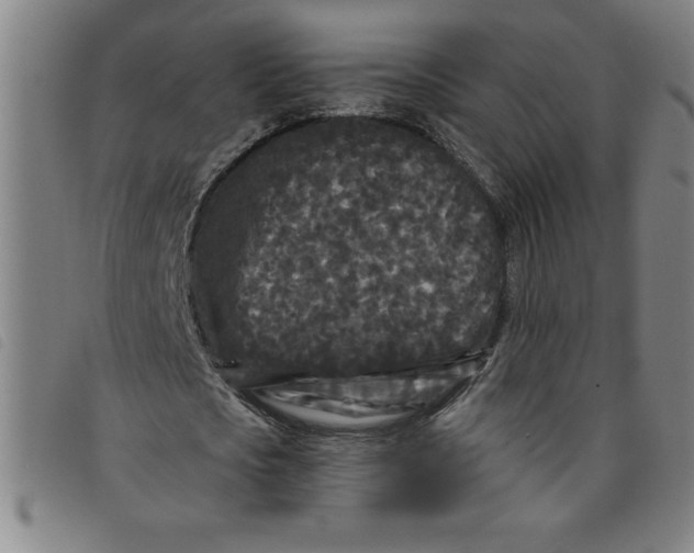 X0000097870721200804041550
