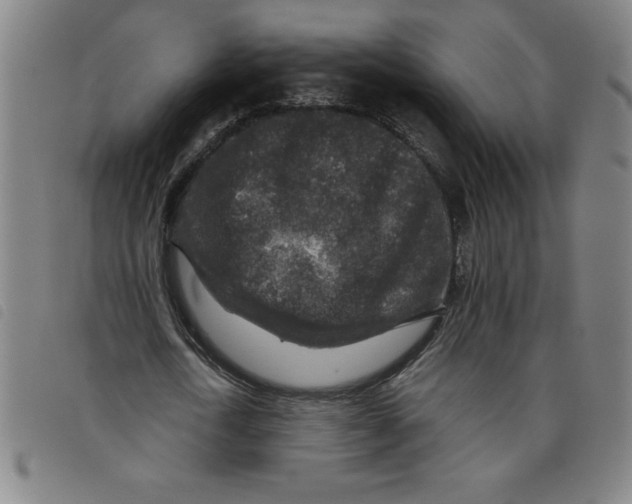 X0000097870722200804041550