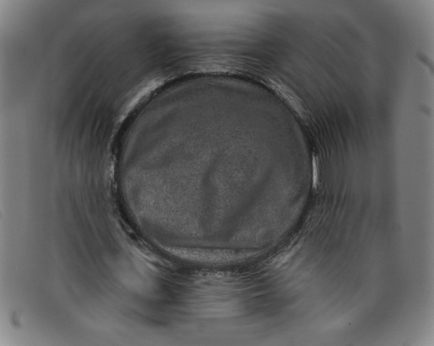 X0000097870723200804041550
