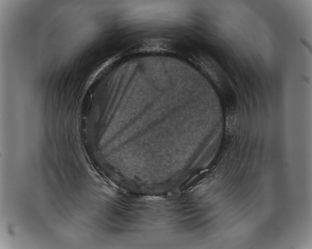 X0000097870724200804041550