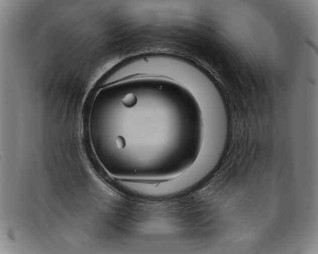 X0000097870726200804041550