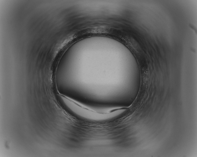 X0000097870727200804041550