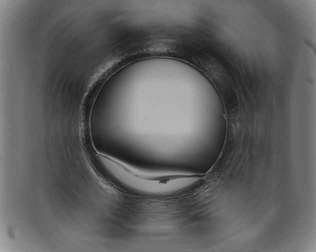 X0000097870728200804041550