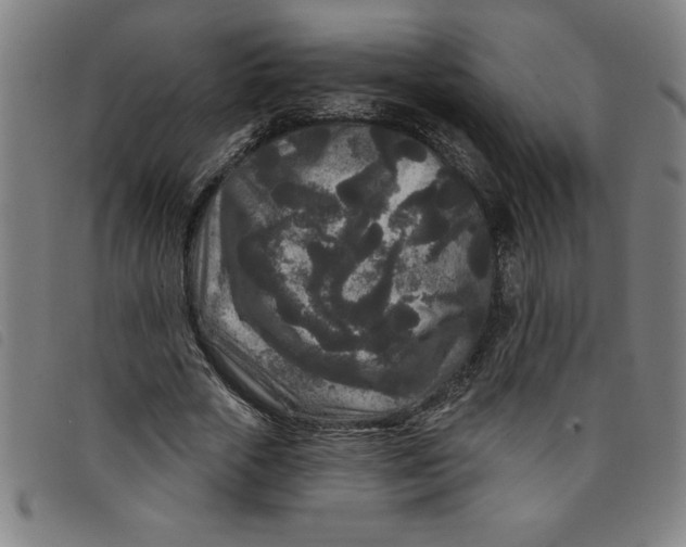 X0000097870729200804041550