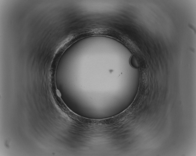 X0000097870730200804041550