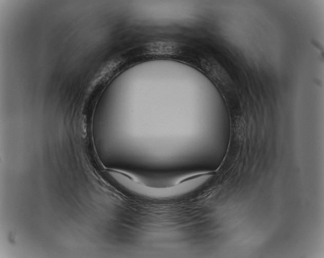 X0000097870731200804041550