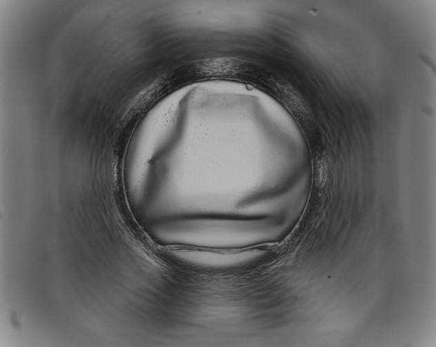 X0000097870733200804041550