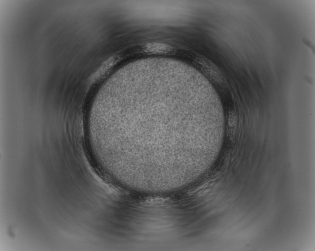 X0000097870734200804041550