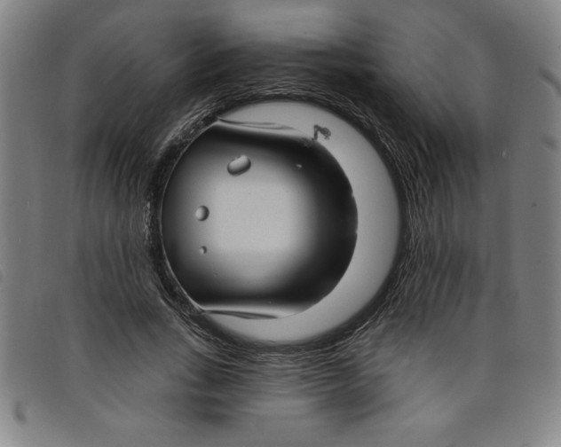 X0000097870735200804041550