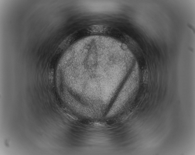 X0000097870737200804041550